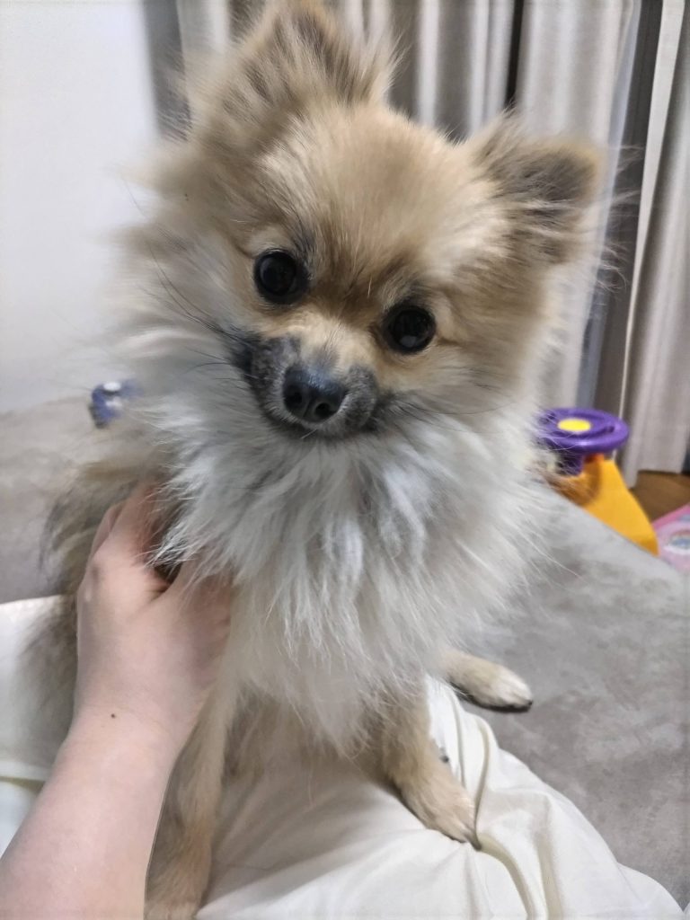 可愛いから何しても許されるでしょ？って顔。あざとい…